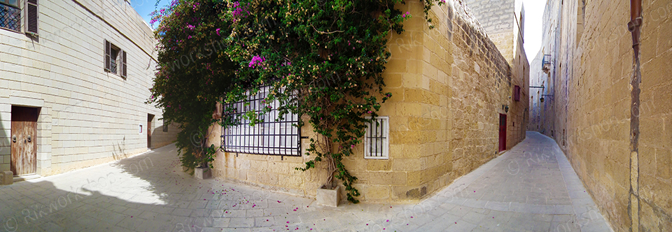 Old and New Buildings of Mdina